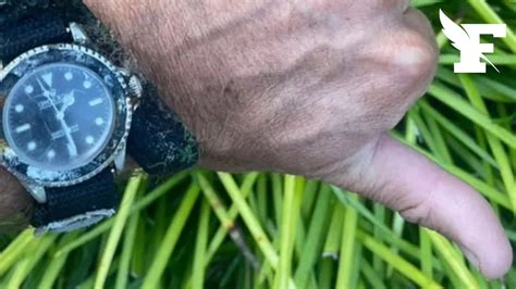 Un surfeur trouve une Rolex au fond de l'océan et la  